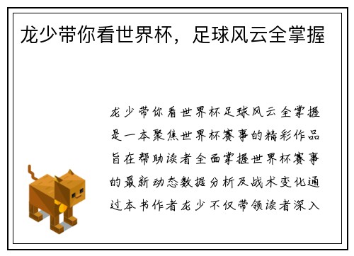 龙少带你看世界杯，足球风云全掌握